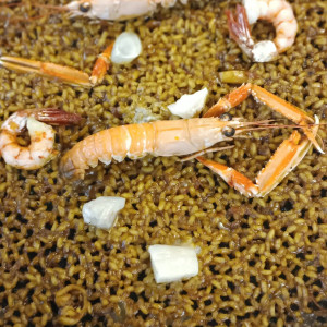 Seafood Paella